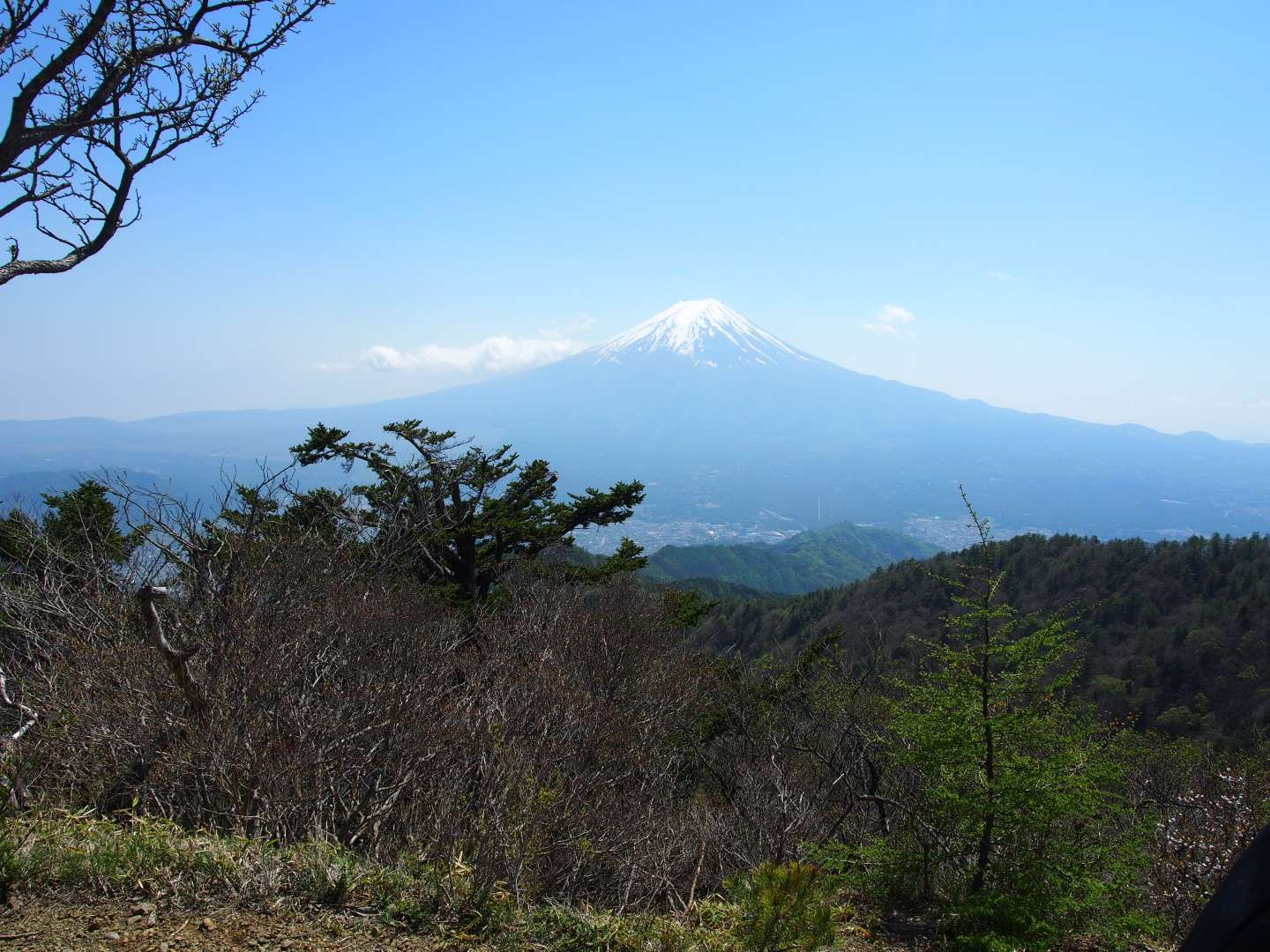 三ツ峠山縦走